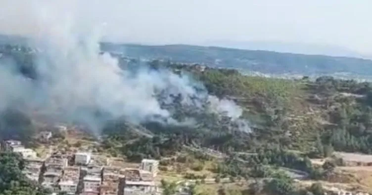 Orman yangınını mangal yakarken çıkarmış!  İzmir’de ormanı mangal yaparken yakan şüpheli tutuklandı