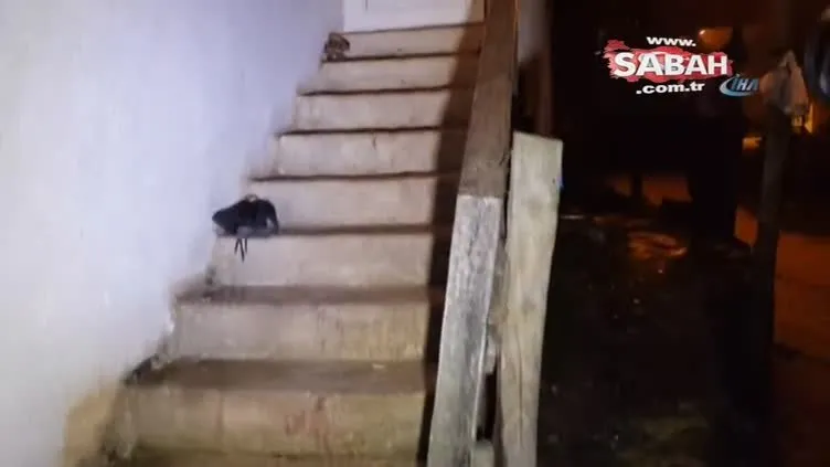 Cinnet getiren şahıs dehşet saçtı sosyal medyada canlı yayın yaptı: 3 ölü 4 yaralı