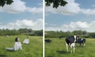Güney Koreli süt firmasından skandal reklam! Kadınları inek olarak gösterdiler