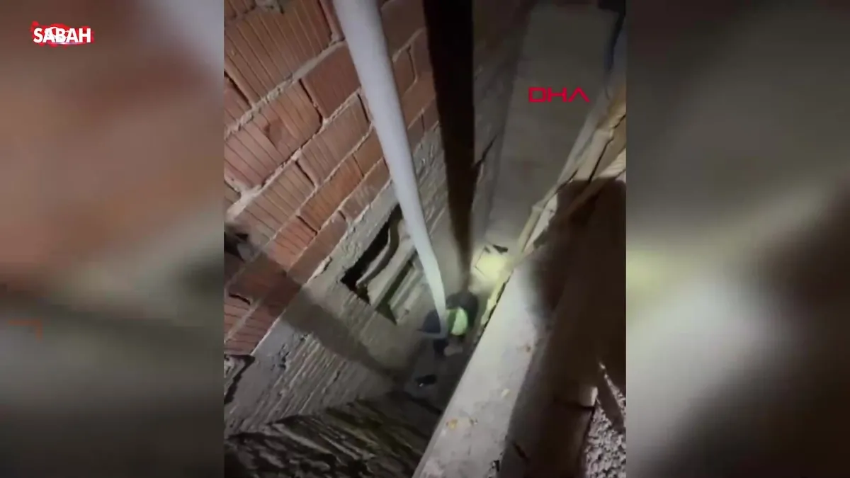 Havalandırma boşluğuna düşen kedi, onu çıkarmak için uğraşan kurtarma ekibini görünce duvara tırmanarak kaçtı | Video videosunu izle Havalandırma boşluğuna düşen kedi, onu çıkarmak için uğraşan kurtarma ekibini görünce duvara tırmanarak kaçtı | Video videosunu izle