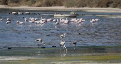 Uzmanından uyarı: Bafa Gölü alarm veriyor! #mugla
