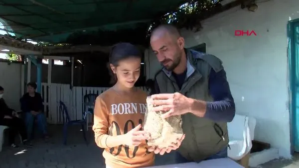 Manisa'da 10 yaşındaki Elçin'in bulduğu kaya parçası için 'milyonlarca yıllık fosil' incelemesi