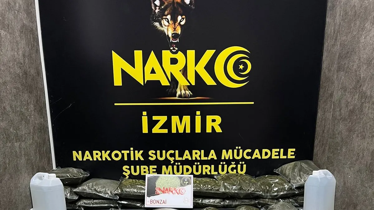 İzmir'de 126 kilo bonzai ele geçirildi