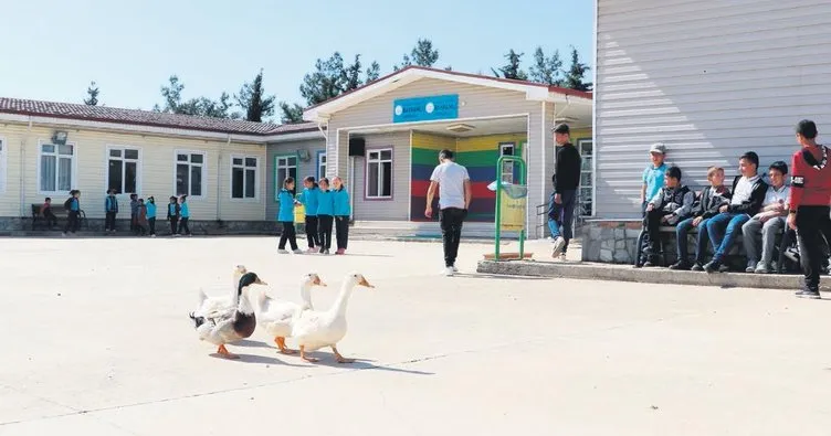 Dört duvara sığmayan okul