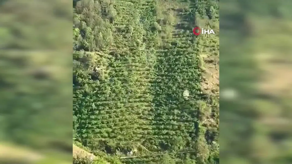 Giresun’da yüzlerce metrelik yamaçtan yuvarlanan araç kamerada | Video videosunu izle Giresun’da yüzlerce metrelik yamaçtan yuvarlanan araç kamerada | Video videosunu izle