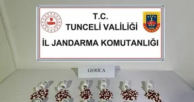 Tunceli’de jandarma 654 sentetik uyuşturucu hap ele geçirdi #tunceli