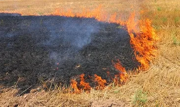TZOB Başkanı Bayraktar’dan ’anız’ uyarısı
