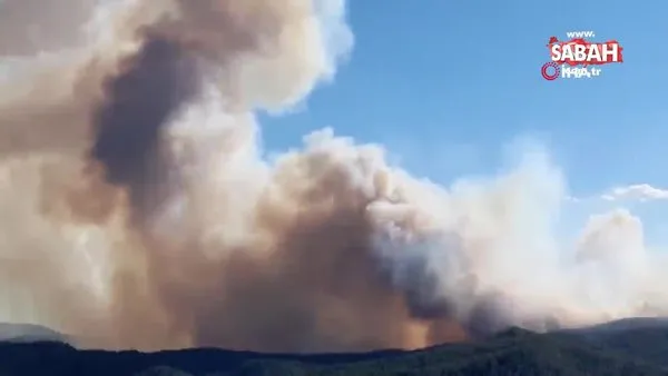 Fransa'da orman yangını: 620 hektarlık alan kül oldu | Video