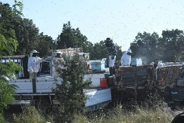 Edirne’de facia: 4 ölü! Biri saatler önce son selfie’sini çekti! Diğeri yeni doğan bebeğini göremedi!