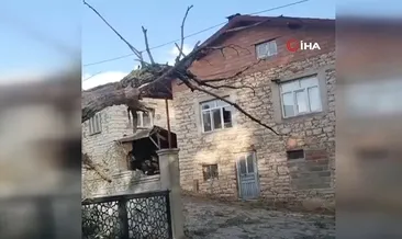 Fırtınada kökünden sökülen ağaç otomobilin üzerine devrildi #konya
