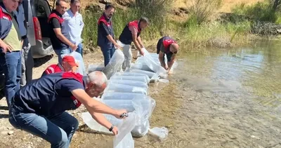 Tunceli’de göletlere 450 bin adet sazan yavrusu bırakıldı #tunceli