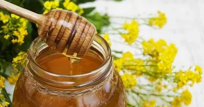 Yalova kestane balı AB listesine 20. sıradan girdi