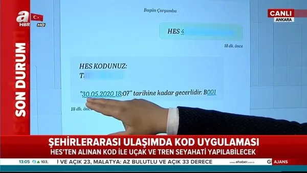 Sehirler Arasi Seyahat Hes Kodu Nasil Aliniyor 65 Yas Yas Ustu Seyahat Kodu Video Videosunu Izle Son Dakika Haberleri