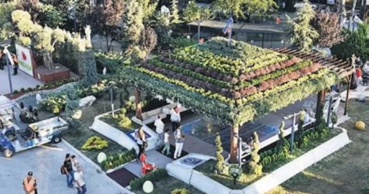 ‘Bitki Evi’ festivale renk kattı Ankara Başkent Haberleri