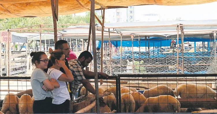 Kurban bayramı esnafın yüzünü güldürdü