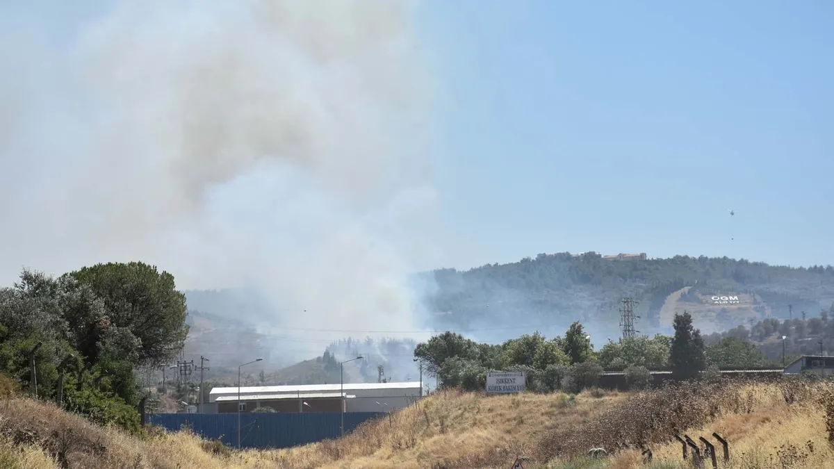 İzmir Bornova'da ormanlık alanda çıkan yangından dumanlar yükseliyor.