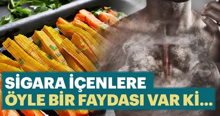 Sigara içenlere öyle bir faydası var ki...