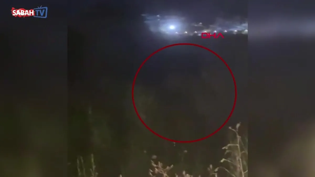Hayvan parkından kaçan aslan aranıyor; saldırdığı kişi ağır yaralandı | Video