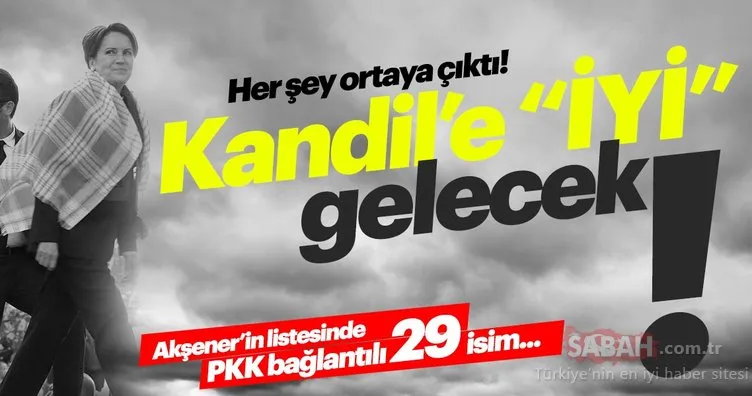 İşte İyi Parti'nin 31 Mart seçimleri aday listesindeki PKK'lılar!