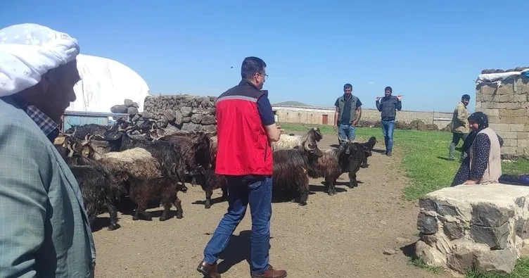 Şanlıurfa İl Müdürü, Viranşehir’de çiftçilerle buluştu