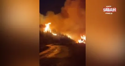 Muğla’da peş peşe orman yangını