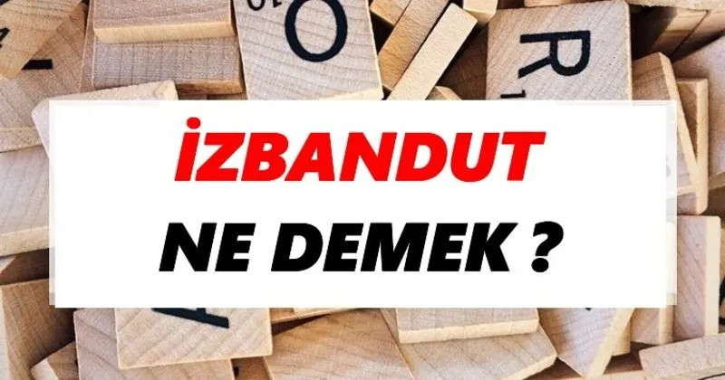 izbandut ne demek tdk ya gore izbandut sozluk anlami nedir tdk anlami haberleri izbandut ne demek tdk ya gore izbandut sozluk anlami nedir tdk anlami haberleri