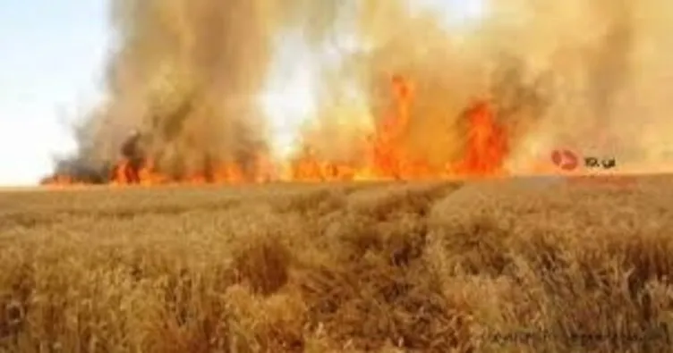 Tekirdağ’da 96 dönüm buğday tarlası yandı