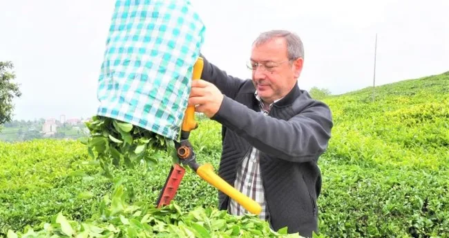 Çay’da günlük alımlar kapasiteyi aştı