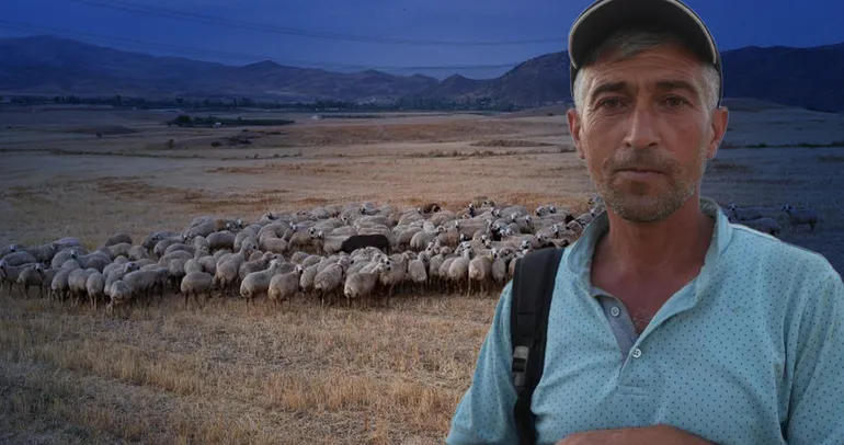 Kırıkkale’de 350 küçükbaş hayvanı çalınmıştı! Çobanın hırsızlarla kurduğu hain planı jandarma deşifre etti