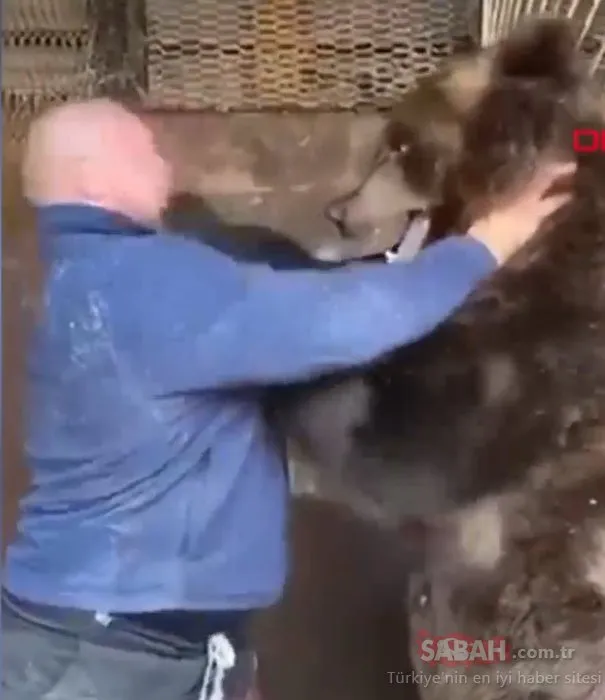 Rus dövüşçü, ayıyla antrenman yaptı