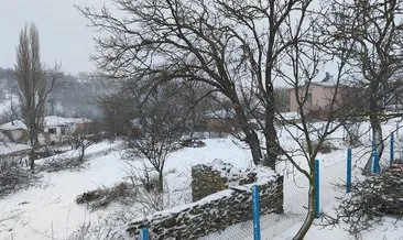 Balkanlardan gelen kar yükseklerde etkili oluyor #kirklareli