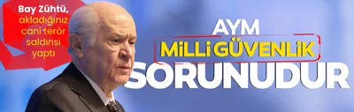 Bahçeli: AYM milli güvenlik sorunudur