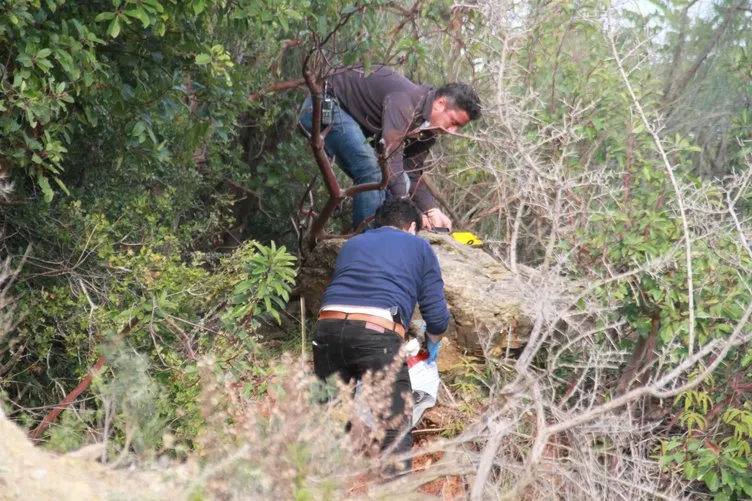 Ormanlık alanda insana ait olduğu tahmin edilen kemik bulundu