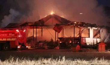 Sivas’ta at çiftliği yandı