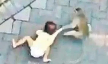 Maymunların kaçırdığı bebek yaşamını yitirdi