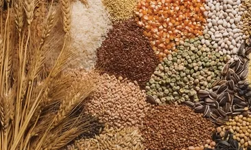 Hububat ihracatı yüzde 28 arttı