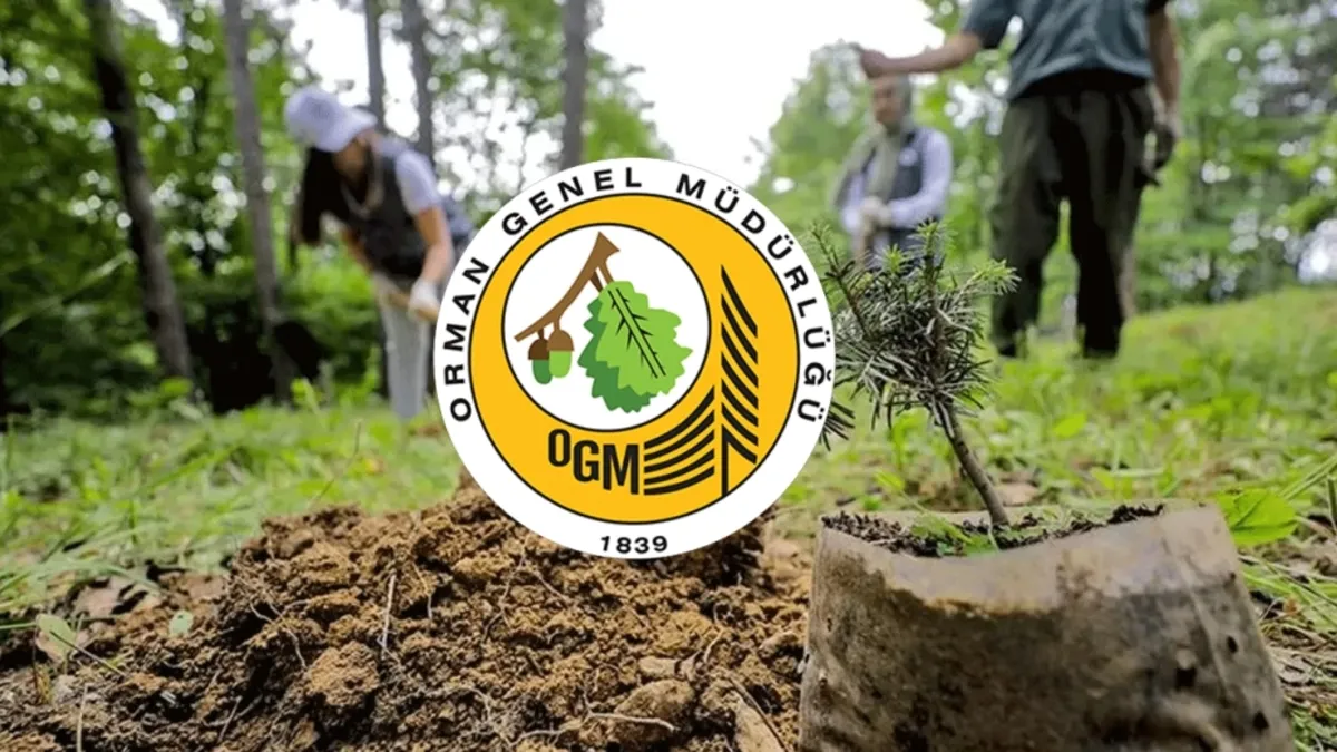 OGM 3.477 sözleşmeli destek personeli alımı sonuçları 2025 açıklandı mı? - İşçi Haber