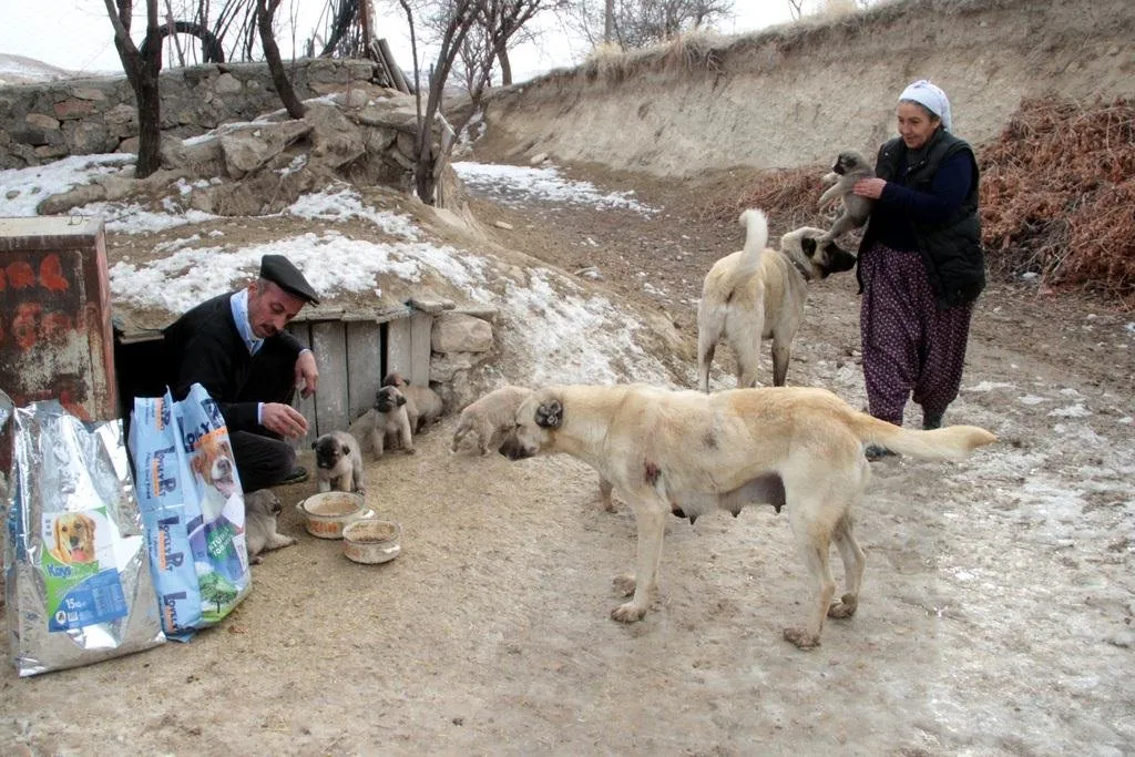 Sosyal medyadan çağrı yaptı, köye mama �yağdı� FotoHaber Yaşam