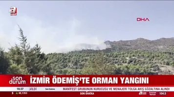İzmir Ödemiş'te orman yangını! | Video