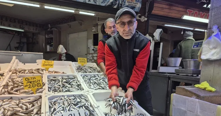 Vatandaşların yüzü gülüyor: Hamsi Türk sularına döndü