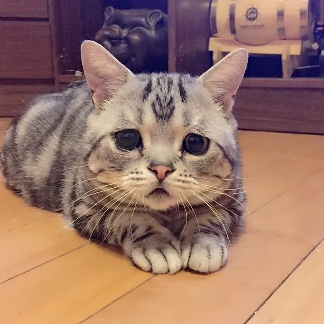 sabah