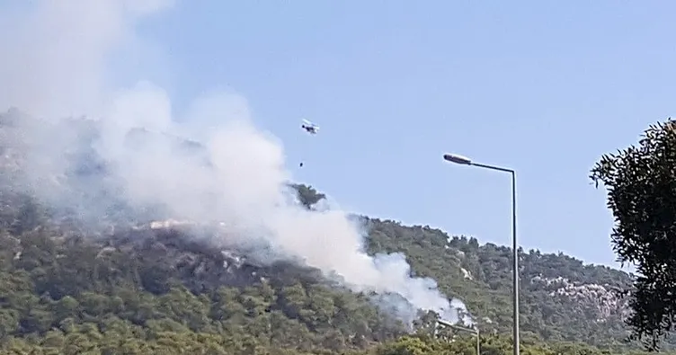 SON DAKİKA | Antalya’da orman yangını