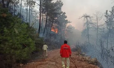 Muğla’da yangın 6 saatte kontrol altına alındı, 30 hektarlık alan kül oldu!