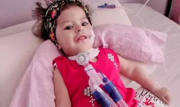 sma spinal muskuler atrofi nedir sma testi neden ve nasil yapilir iste cevabi saglik haberleri sma spinal muskuler atrofi nedir sma testi neden ve nasil yapilir iste cevabi saglik haberleri