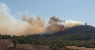 SON DAKİKA: İstanbul’da nerede yangın çıktı, söndürüldü mü, son durum ne? İstanbul Sultangazi Kent Ormanı’nda yangın mı çıktı?