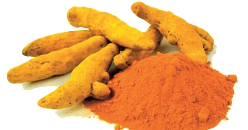 Zerdecalin Faydalari Ve Kullanimi Zerdecalin Faydalari Nelerdir Nasil Kullanilir Ve Tuketilir Saglik Haberleri