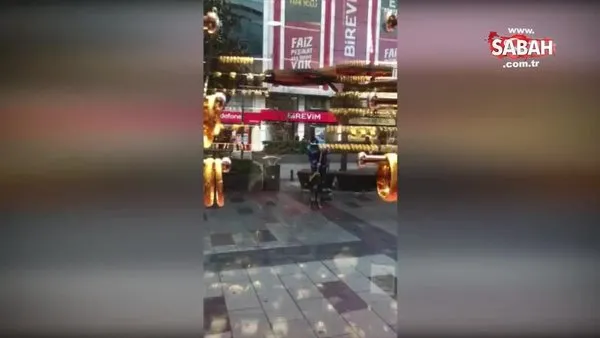 İstanbul Arnavutköy'de sokak köpeğinin yürekleri ısıtan süpürgeli masaj keyfi kamerada | Video
