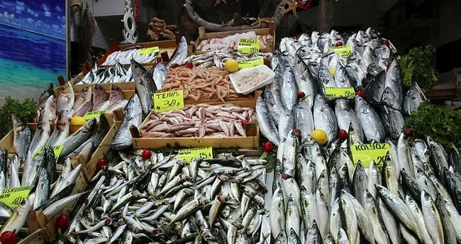 Palamut 35 Tl Ye Cikti En Son Haber