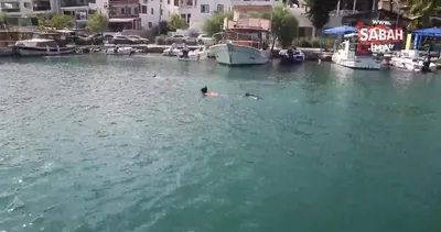 Bodrum’da deniz dibi temizliği: 10 mahallede 2 bin 283 kilogram atık çıktı | Video