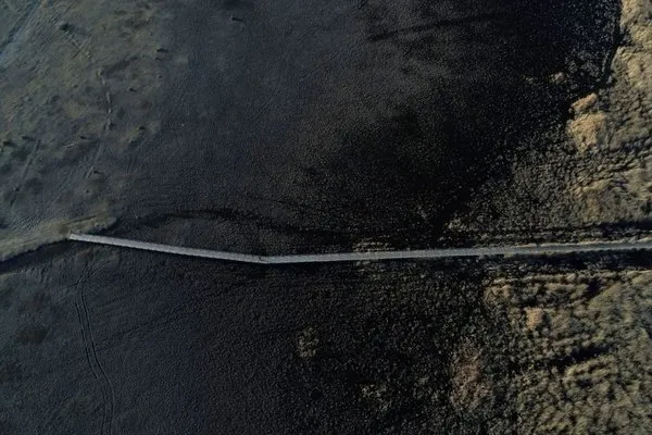 Bozkırın kuş cenneti 'Sultan Sazlığı'
